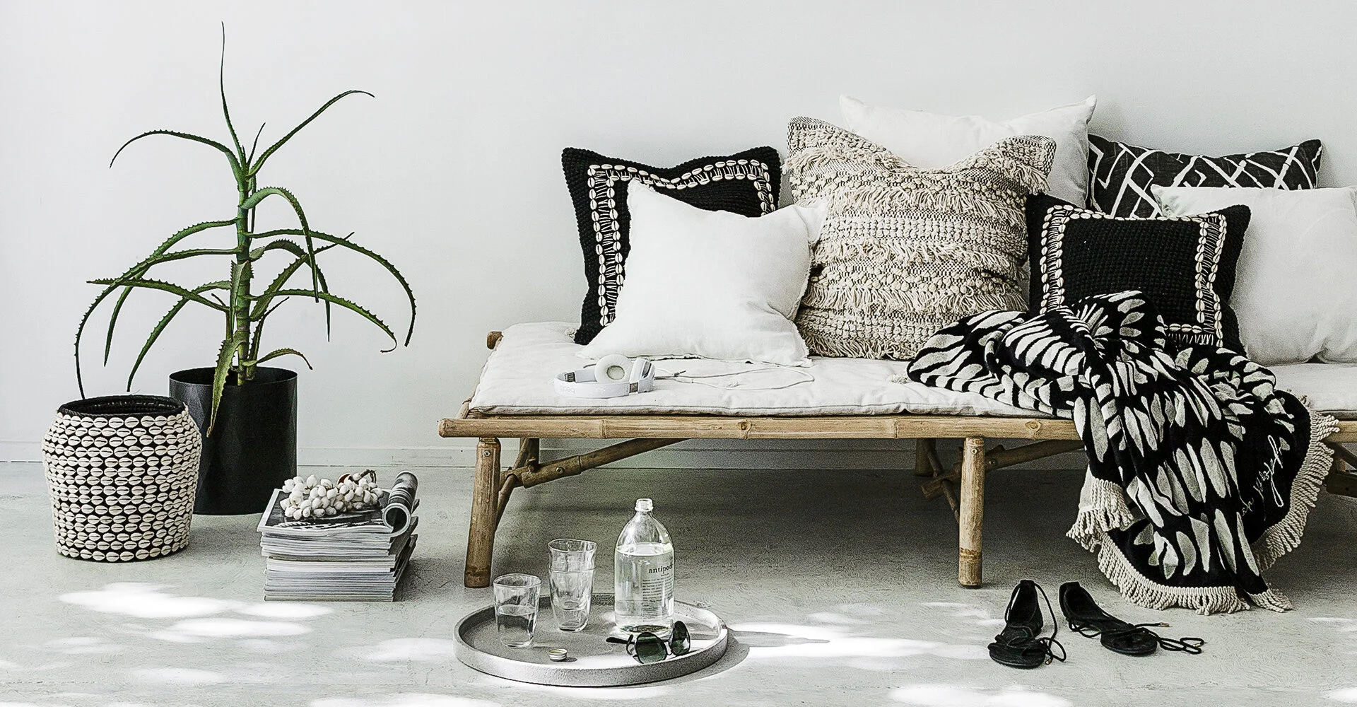 Shop Cushions