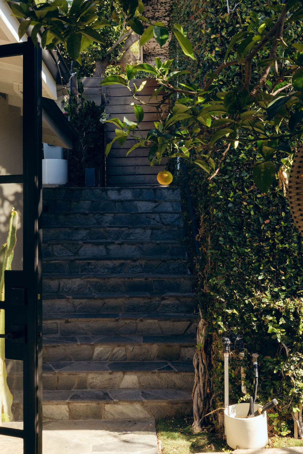 Outdoor space from the Stace King portfolio — photo 8