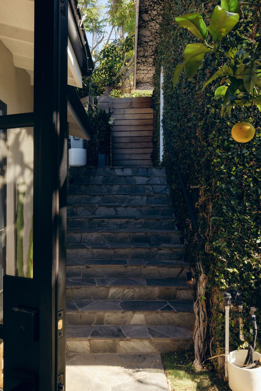 Outdoor space from the Stace King portfolio — photo 9