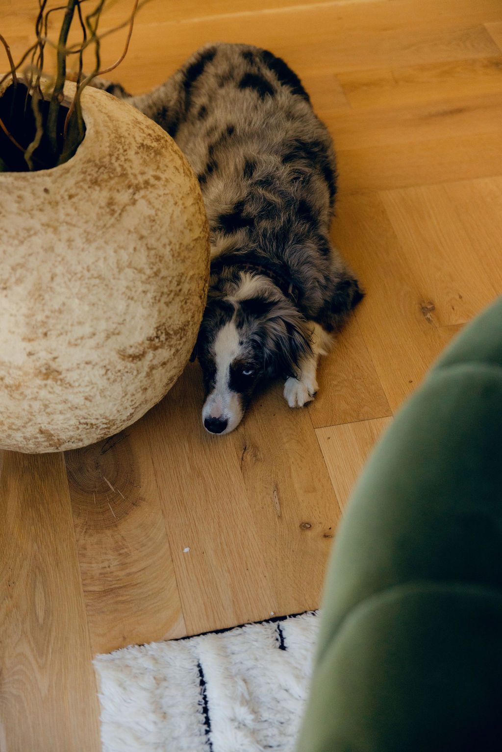 Living space from the Stace King portfolio — photo 20