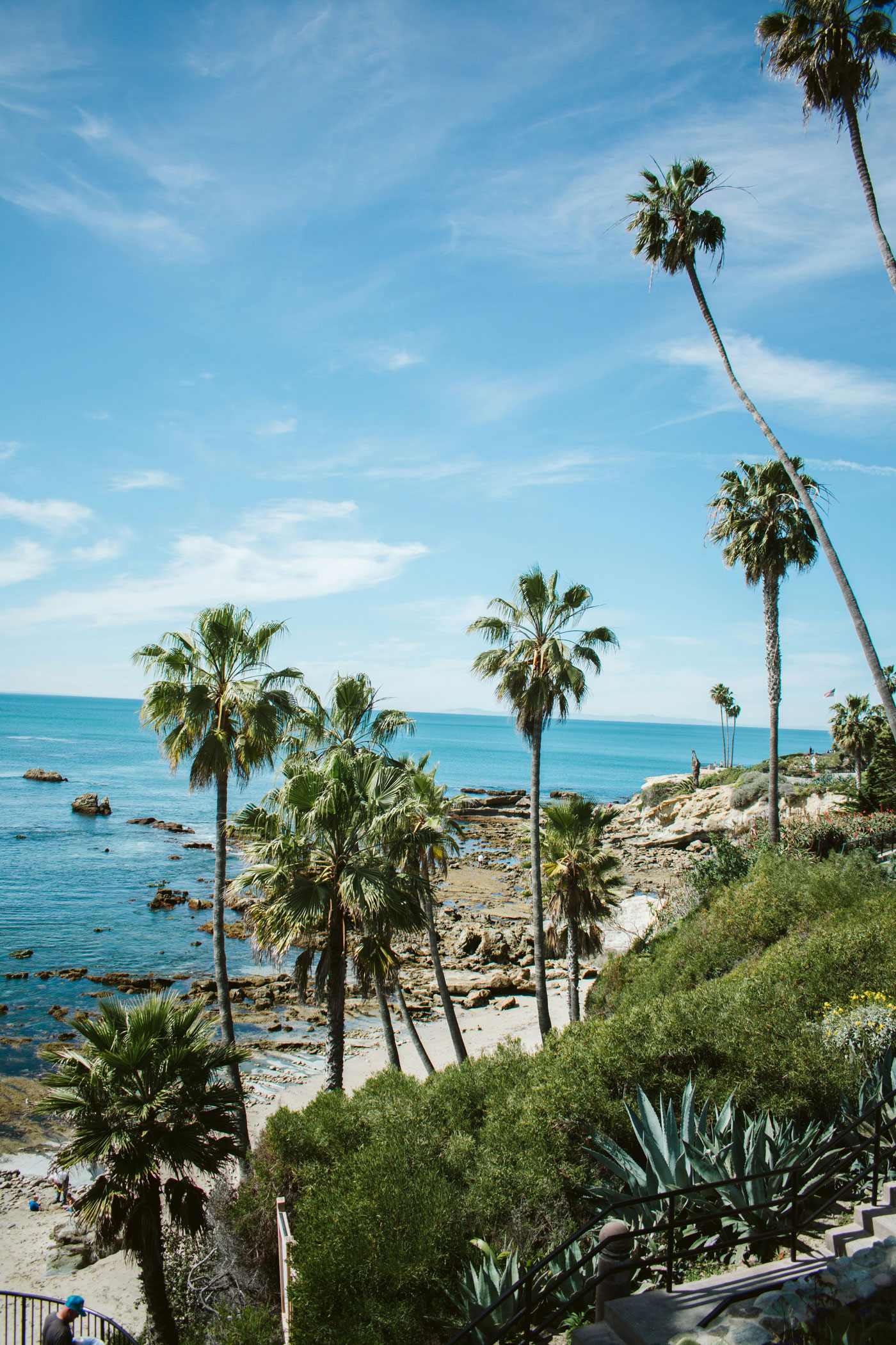 Palm trees overlooking the blue water and rocky coastline of Laguna Beach